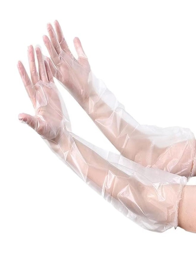 ArrErr 20 Pack Disposable Poly Gloves with Long Sleeve Plastic Disposable Gloves Long Cleaning Gloves Waterproof Cast Covers Protector for Shower Arm Garden Weeding Livestock Exam - Image 1